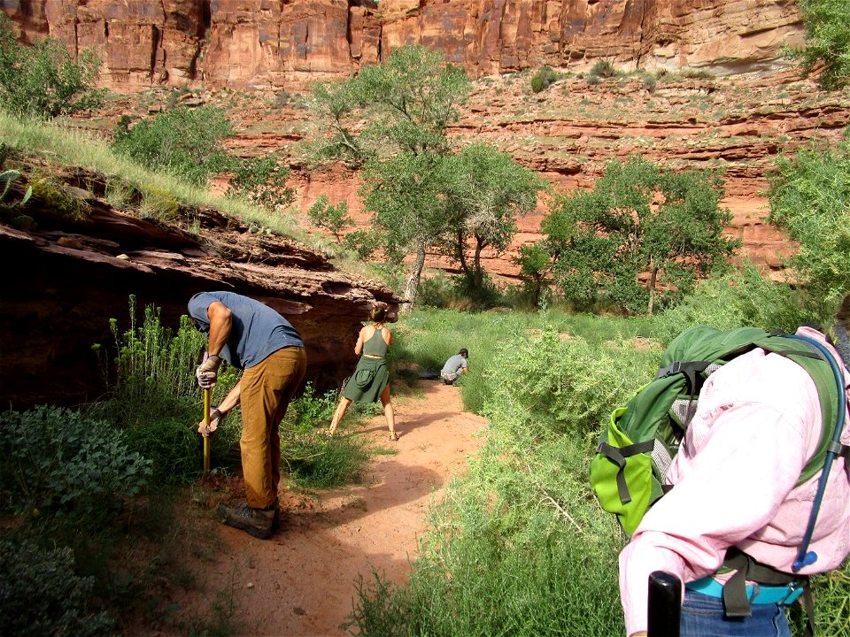 National Public Lands Day Events 2021 photo