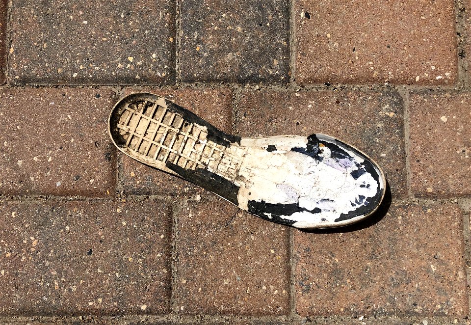 2022/365/137 Found Sole