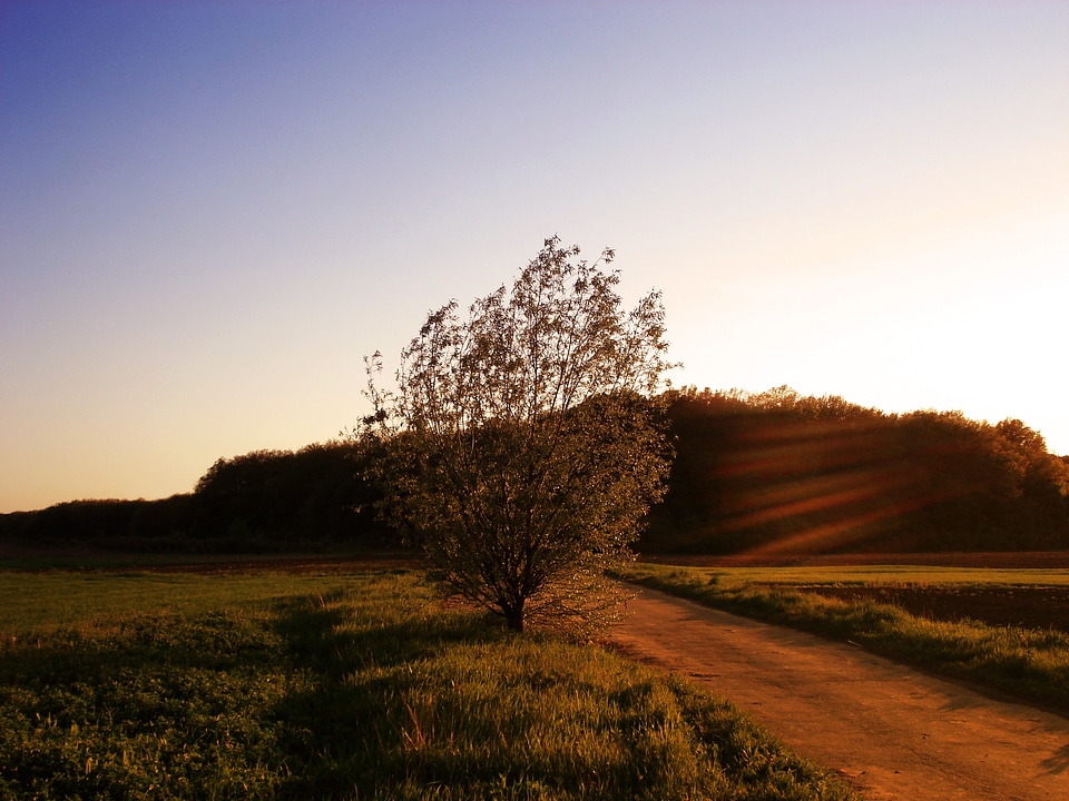 Sunset evening evening landscape