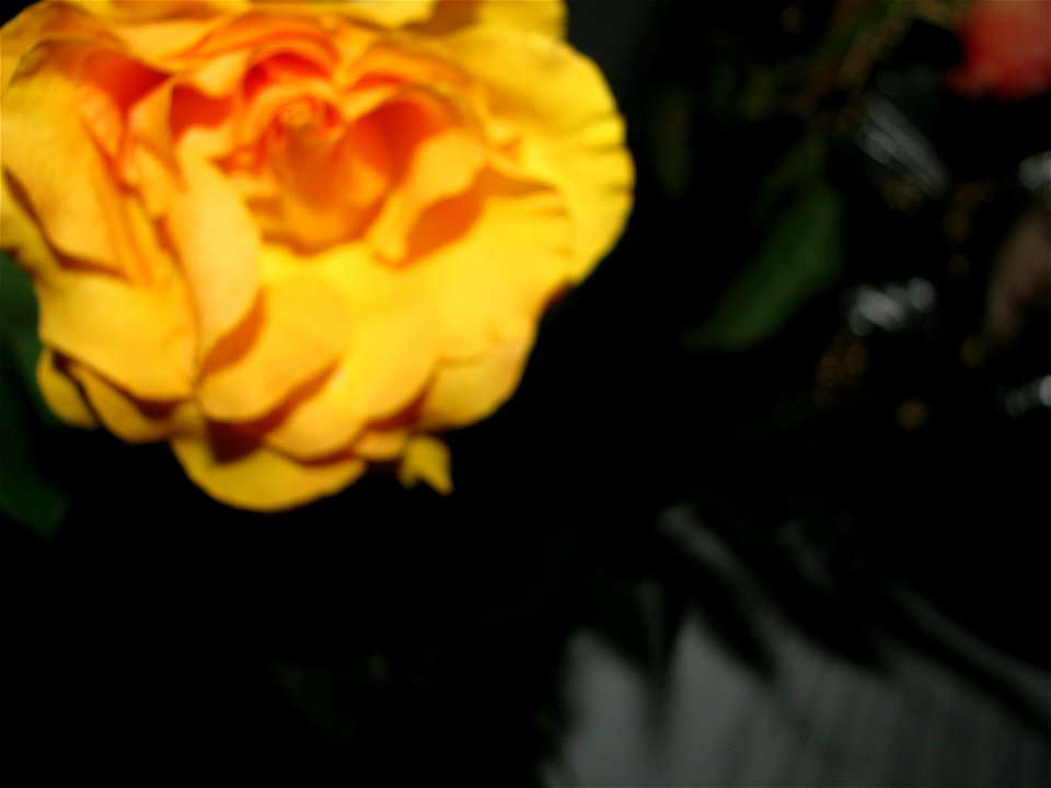 tradgalbEm2009_0623_193751
