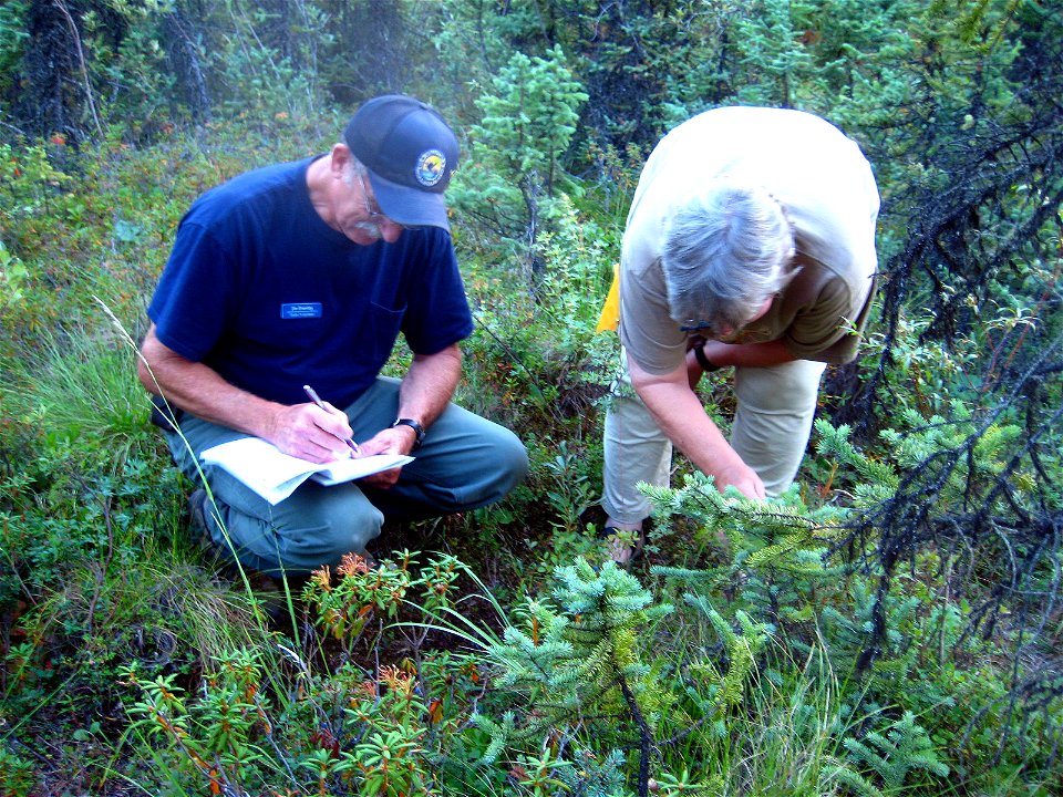 2013 Tetlin-Volunteer(04)