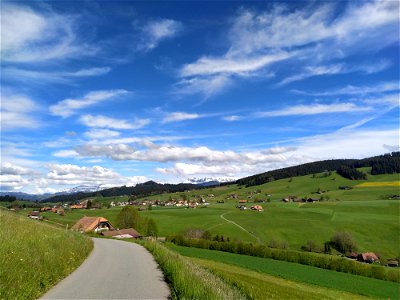 IMG_20210523_165551