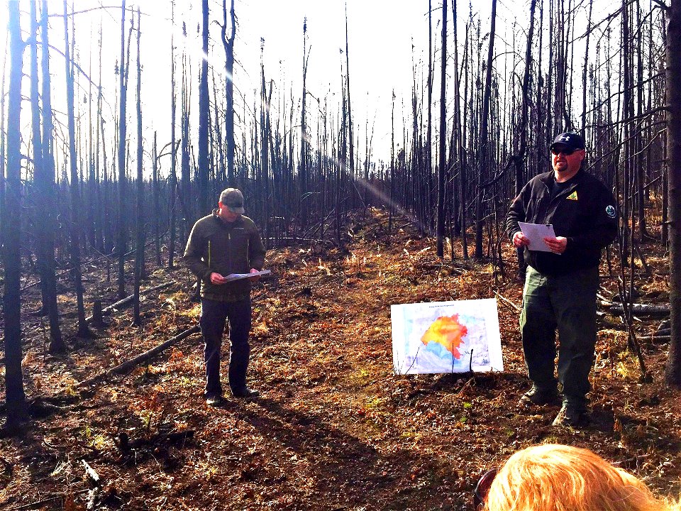 Funny River Fire Recovery 2015