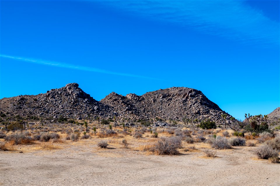 Joshua Tree National Park