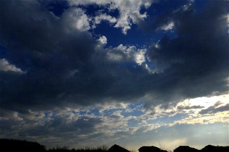 nori-venire2015_0331_080604