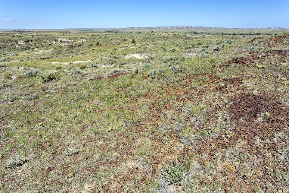Northeast of Bill