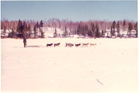 Dog team in the BWCAW, 1968 photo