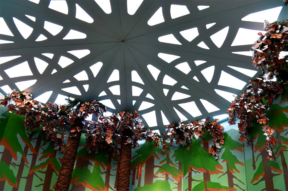 Paper monarch butterflies