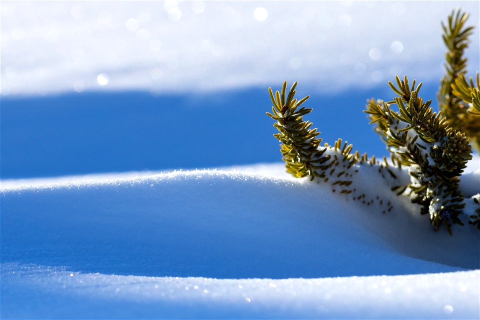 Textures of snow at Selawik National Wildlife Refuge