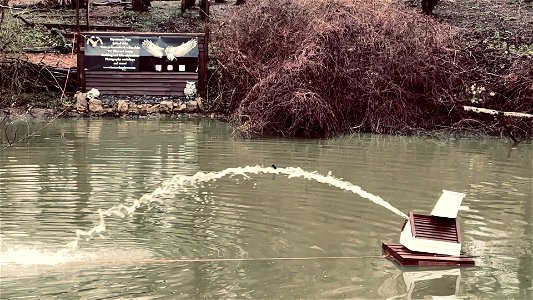 Slow motion Duck Pond