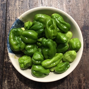 Kitchen food green pepper photo