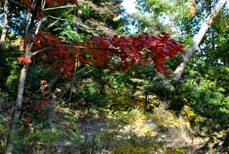 Deoksungsan Mountain