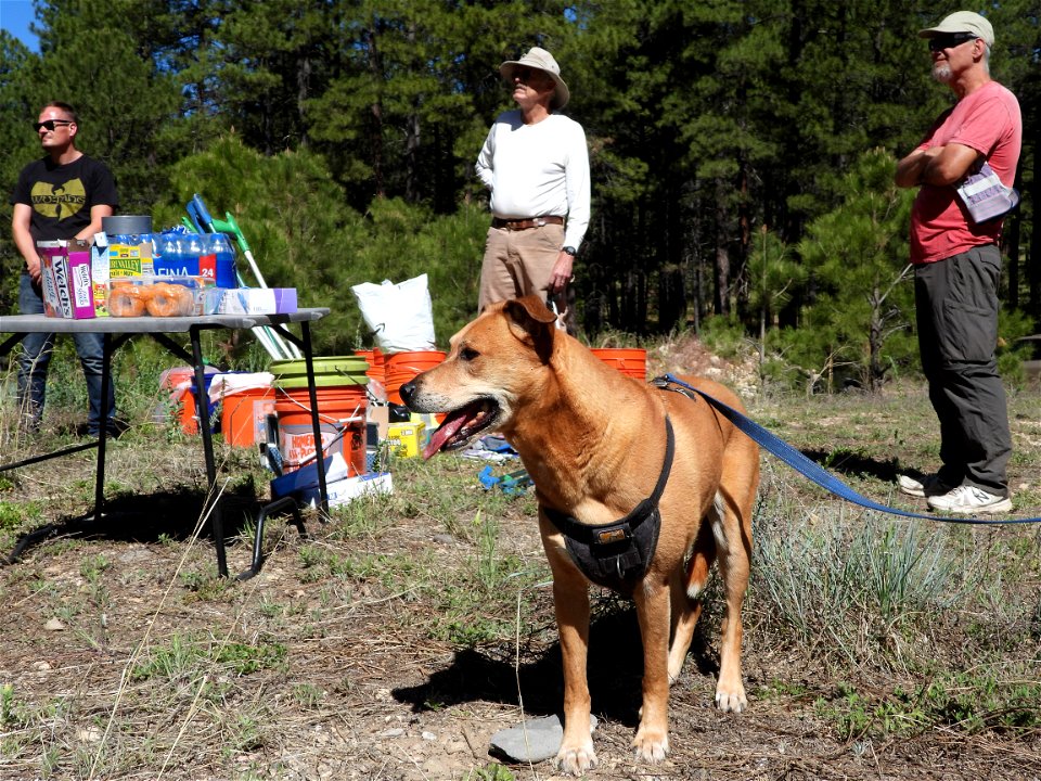 Pickin' Up in the Pines May 2022