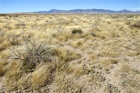 Near Crawford Hollow