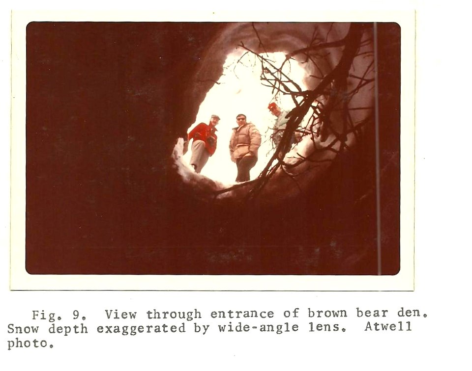 (1974) Brown Bear Den photo