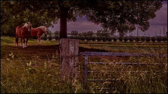 Rural Landscape - Alternative edit photo