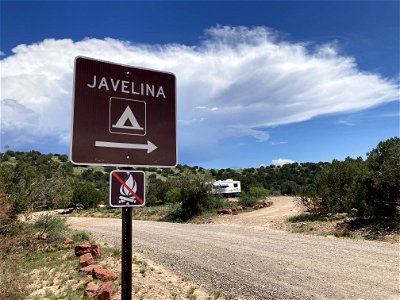 Javelina Designated Dispersed Camping photo
