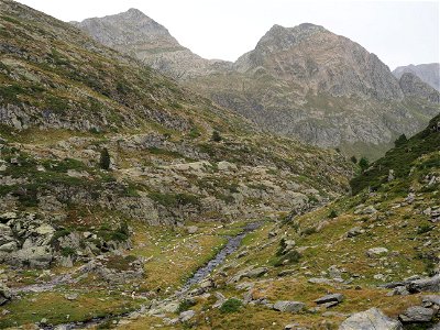 OI000580