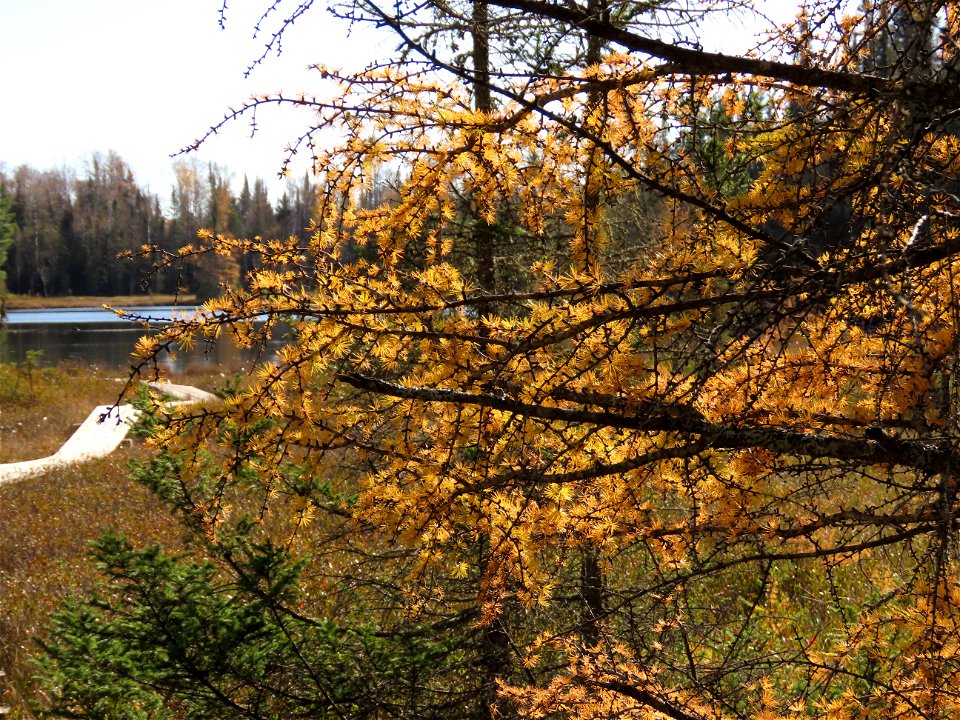 20211019-FS-Superior-SAR-010