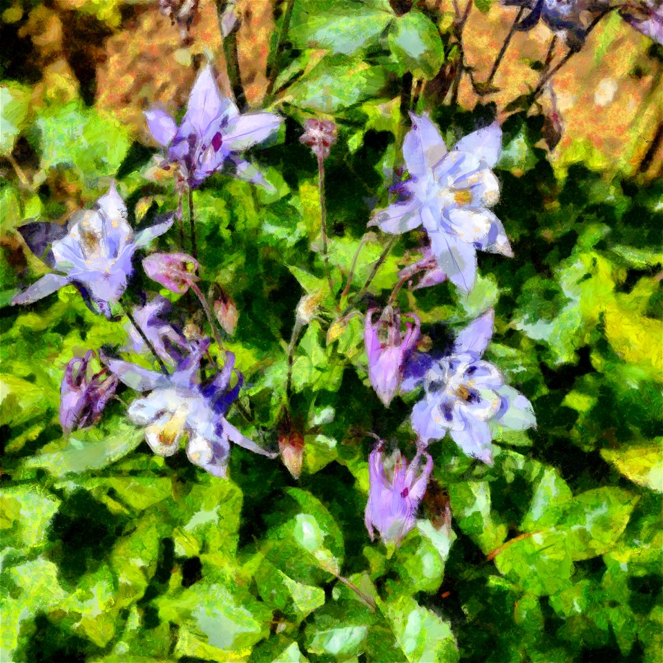 floral_DAP_dOrciaHD