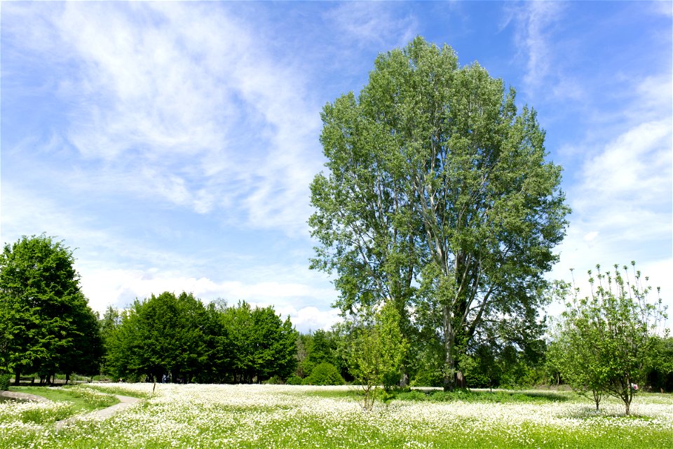 Bird reserve scene