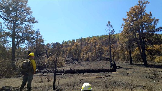 TunnelFireBAER_20220502-Low severity sunset crater_MarkChristiano