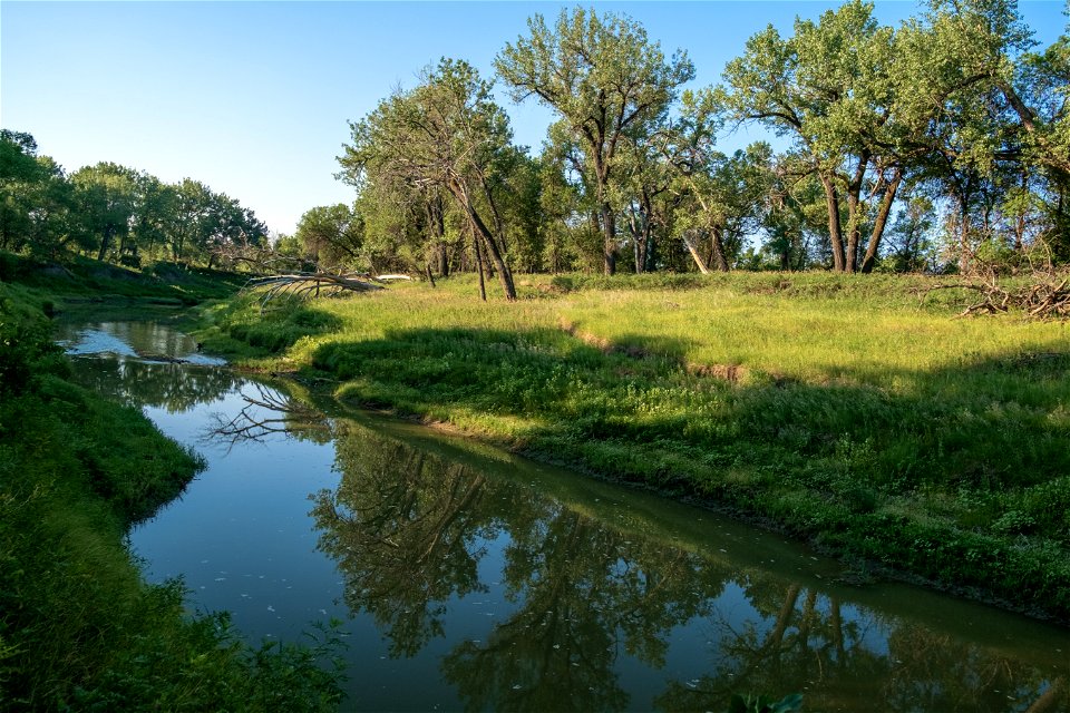 Milk River at Faraasen Park