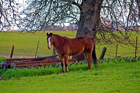 DSC03232_v1