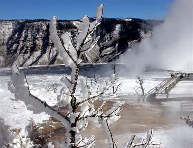Rime ice at Mammoth Hot Springs Terraces
