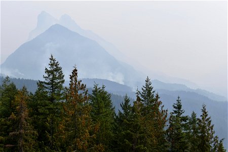 Bolt Creek Fire, Washington photo