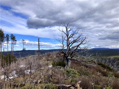 A.B. Young Trail photo