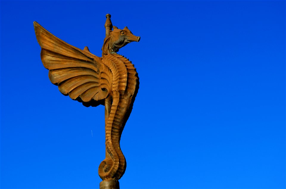Neosho's Winged Seahorse