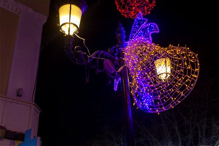 IMG_1322