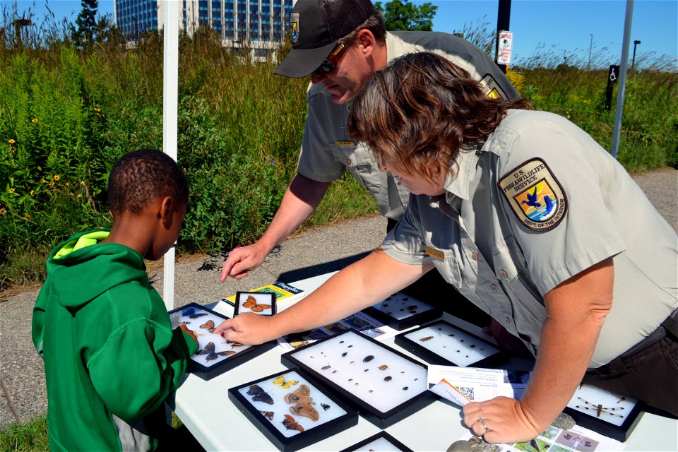 Insect Identification Station photo