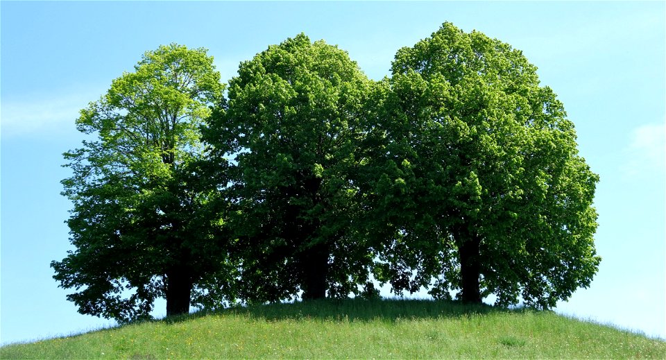 DSC05002