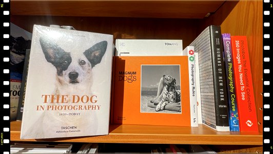 Dog Photography Books