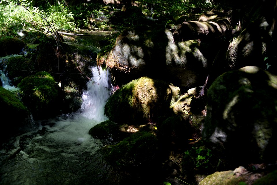 Along the path