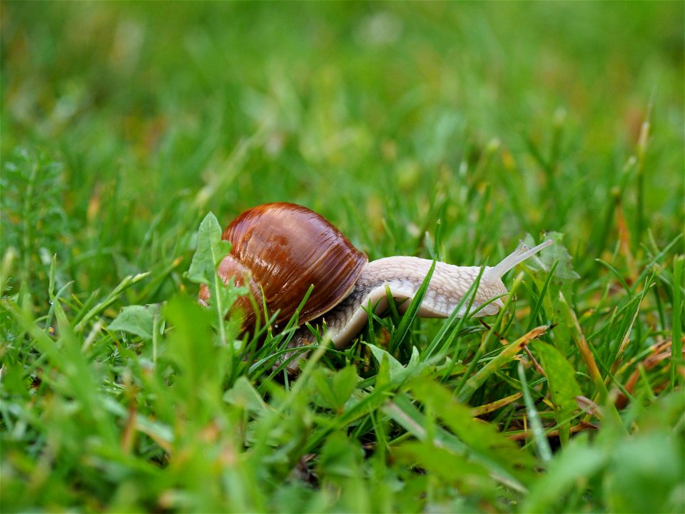 on the hunt for green stuff