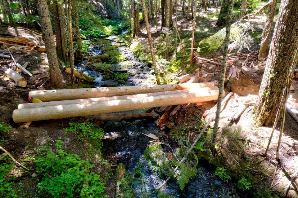 O-Gifford Pinchot Blue Lake Cr Trail-15