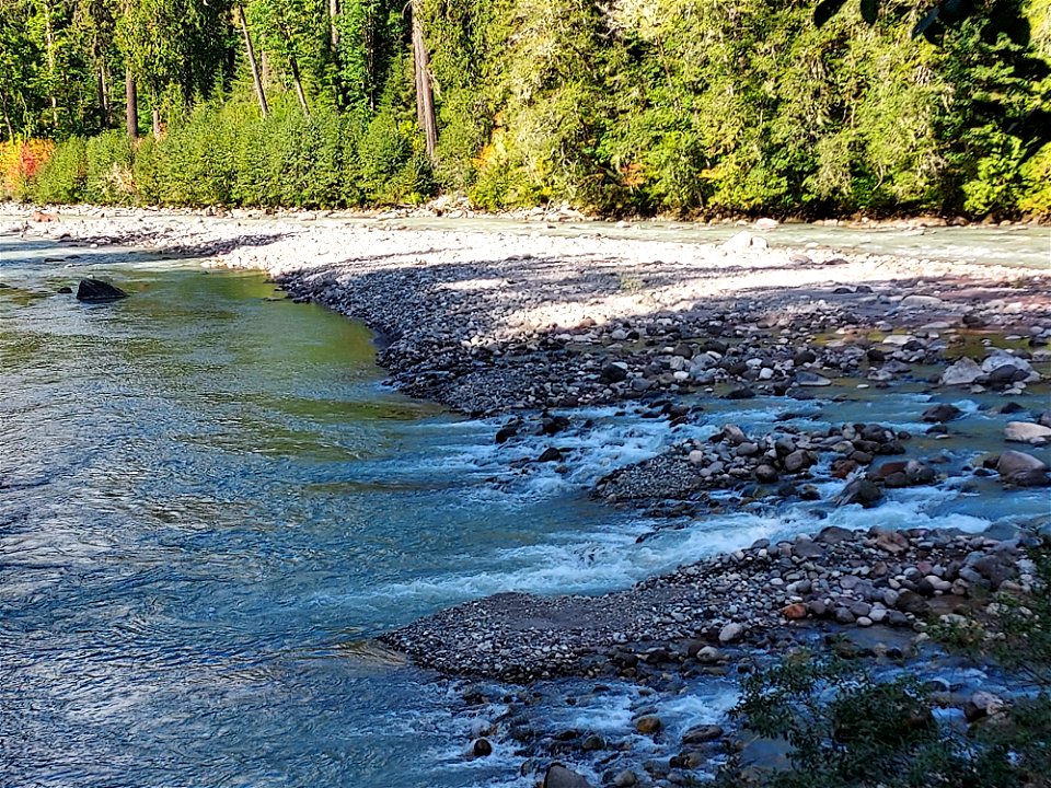 Sauk River from the Clear Creek Bridge, Mt. Baker-Snoqualmie National Forest. Photo by Anne Vassar Sept. 13, 2021.