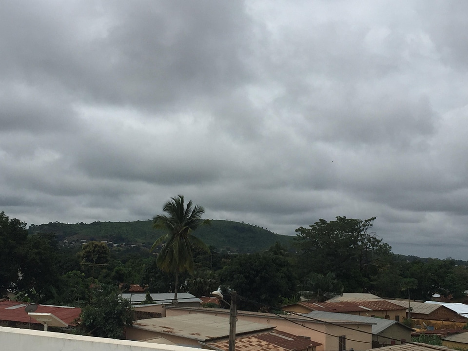 Trees mountains hills