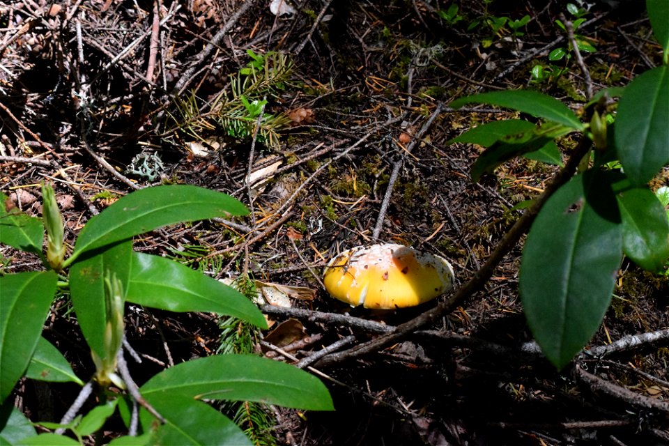 untitled-1164jpg_49385103083_o