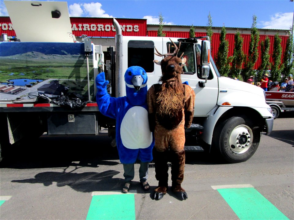Mascots on the 4th of July