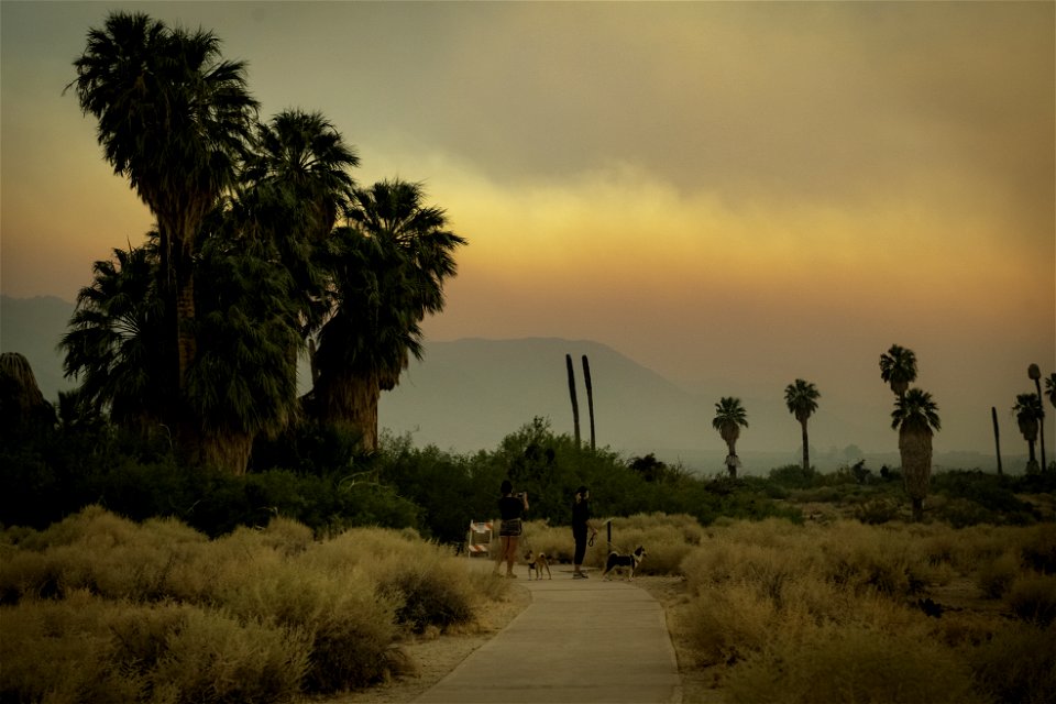 Two dogs and their owners on the Oasis of Mara nature walk
