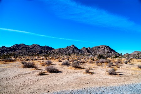 Joshua Tree National Park photo