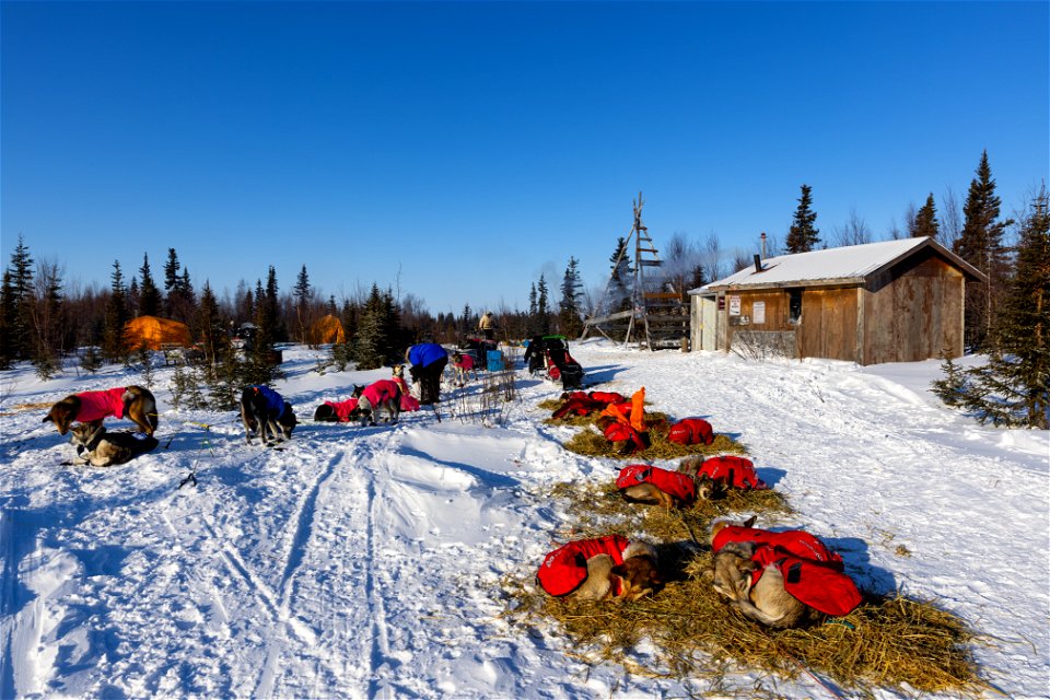 Kobuk 440 racers at Paniqsigvik shelter cabin.