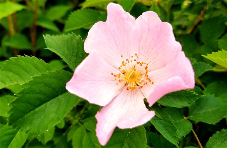 IMG_20220604_195647