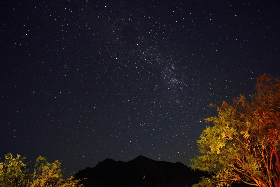 Landscape trees stars
