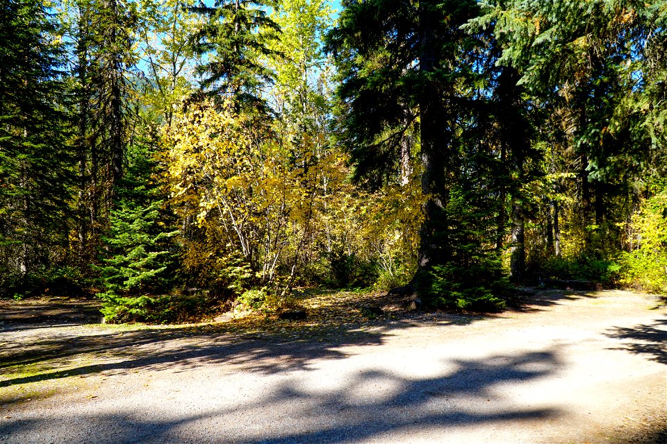 Walton Picnic Area