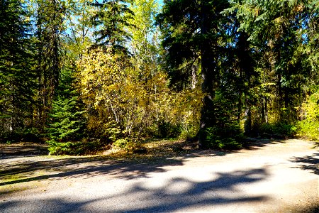 Walton Picnic Area